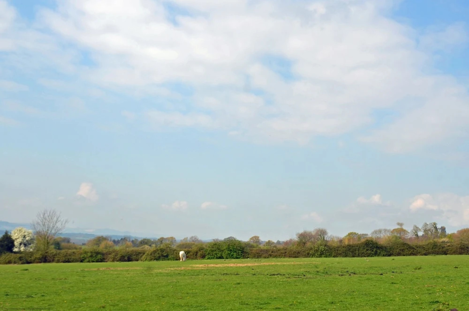 The Cottage at Tillington