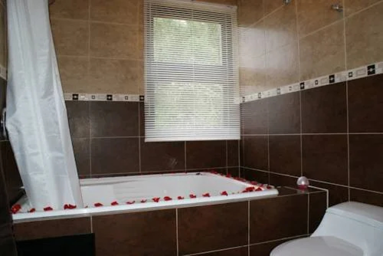 Hotel Descanso By Proget