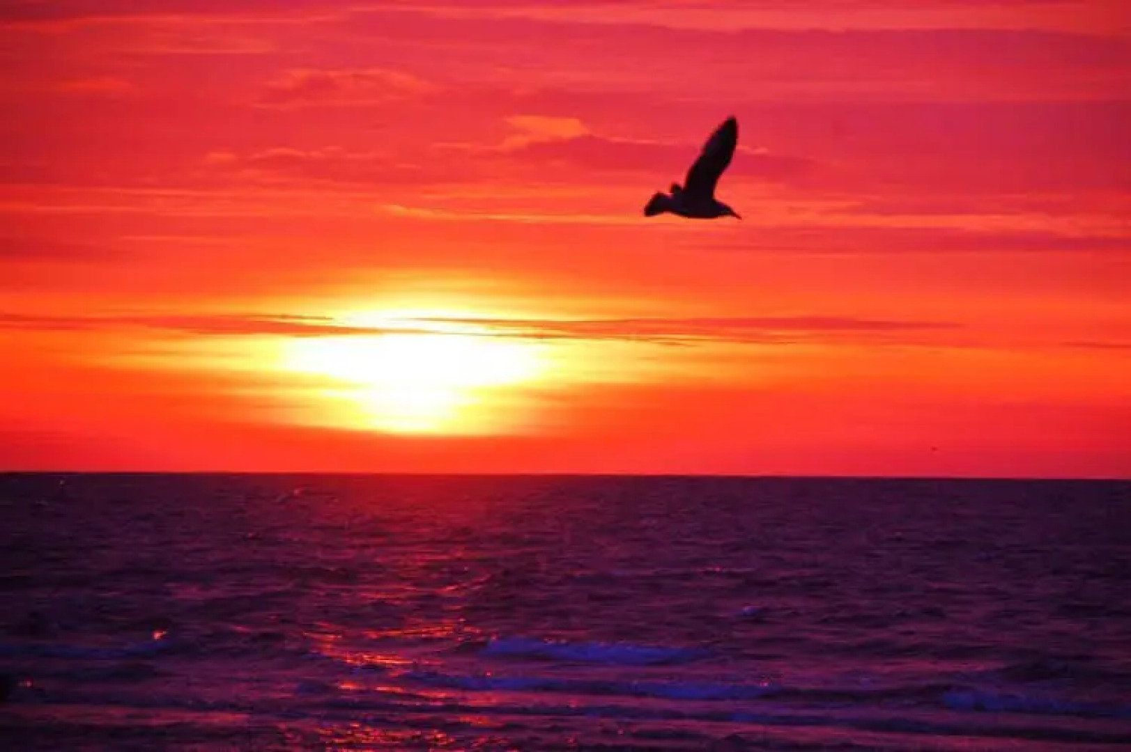 Residenz zum Südstrand