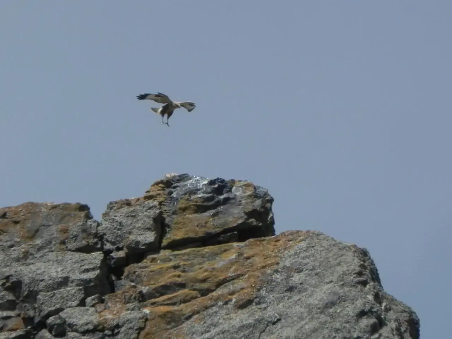 Barseghyan's Guest House