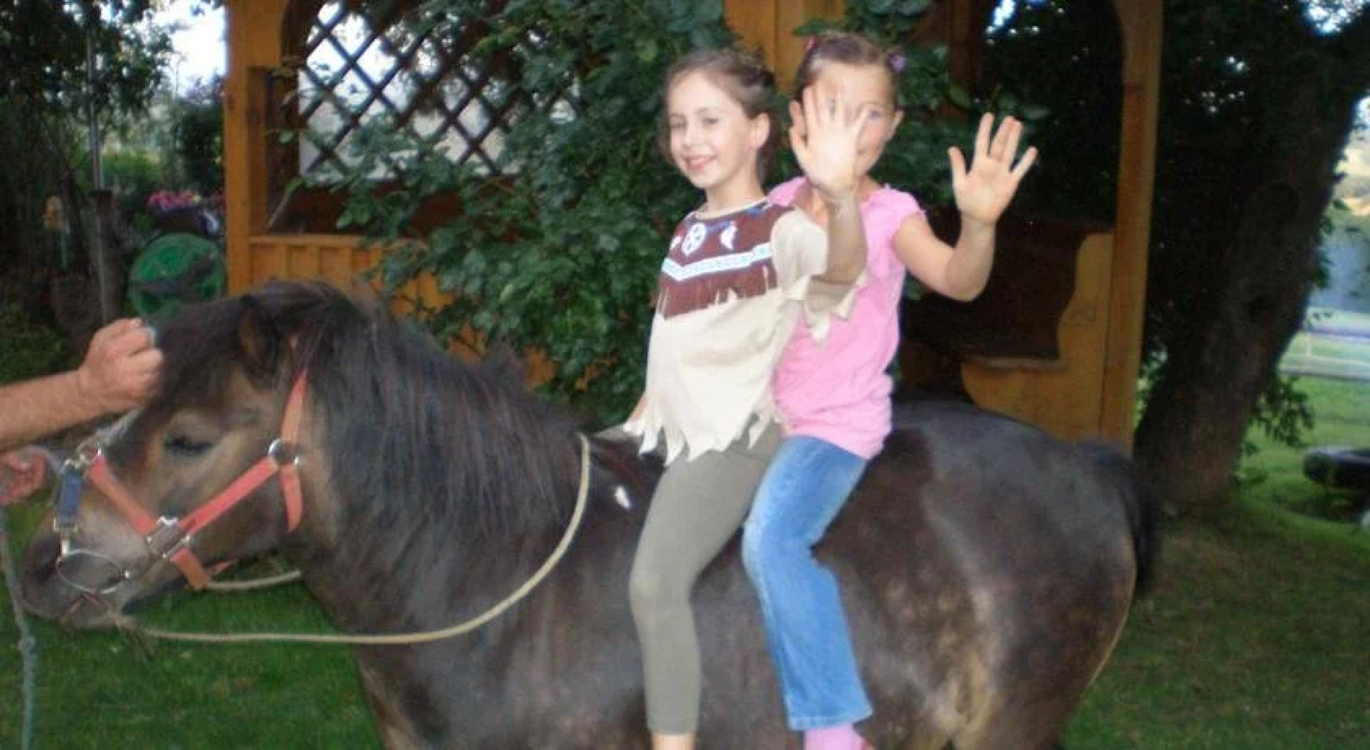 Wiesenbauer - Schlögl Anton