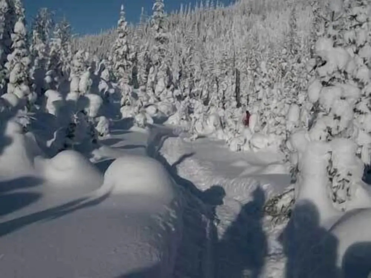 Les Nids des Monts-Valin