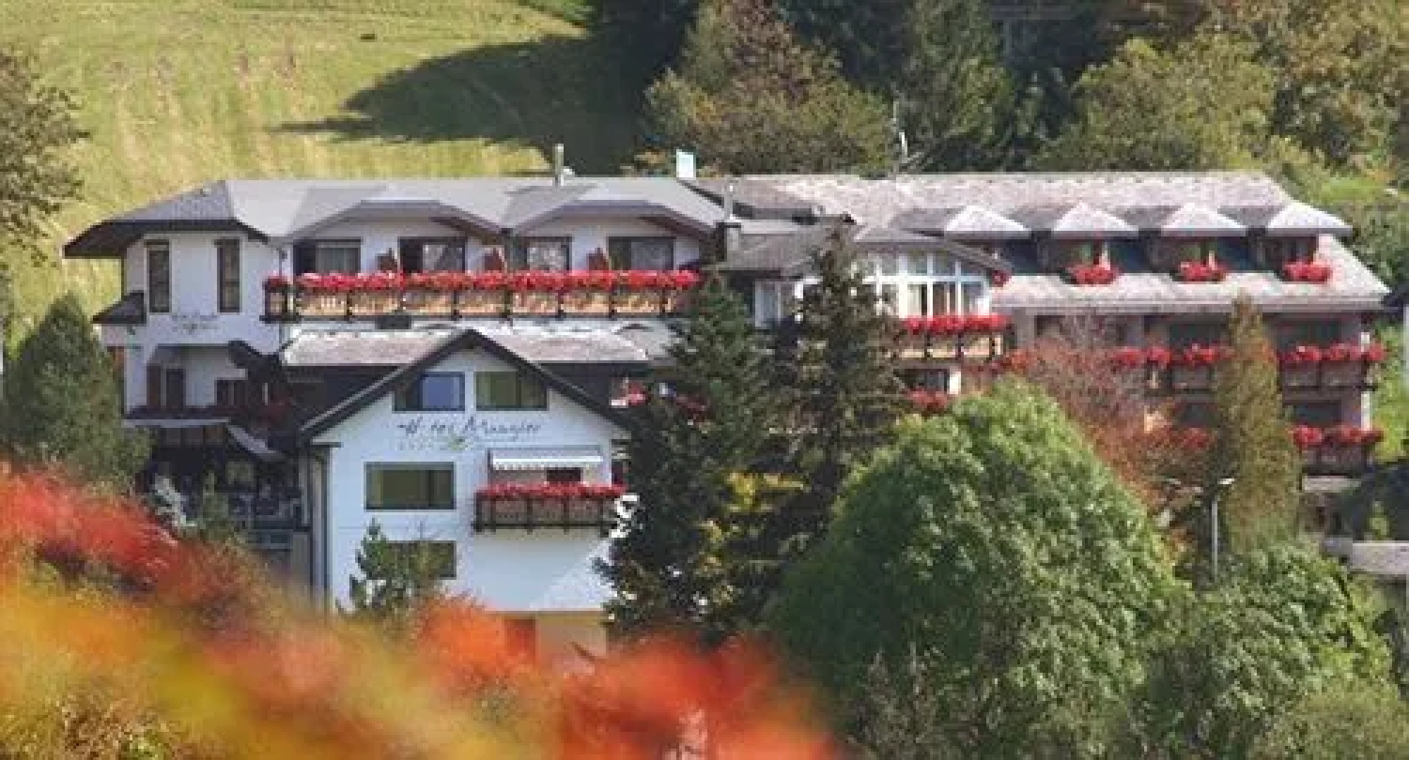 Bergvital Hotel