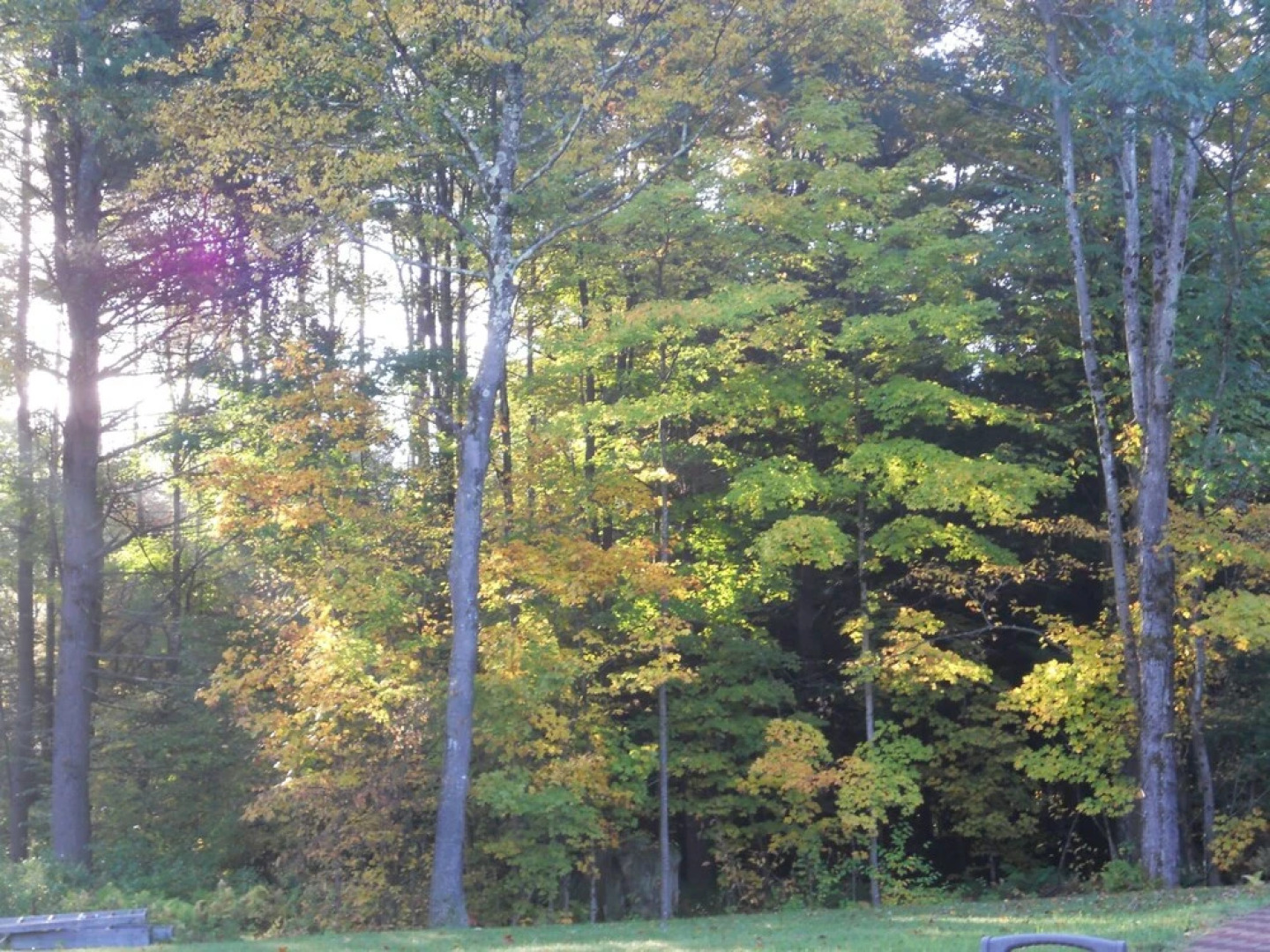 The Log Cabin Bed & Breakfast