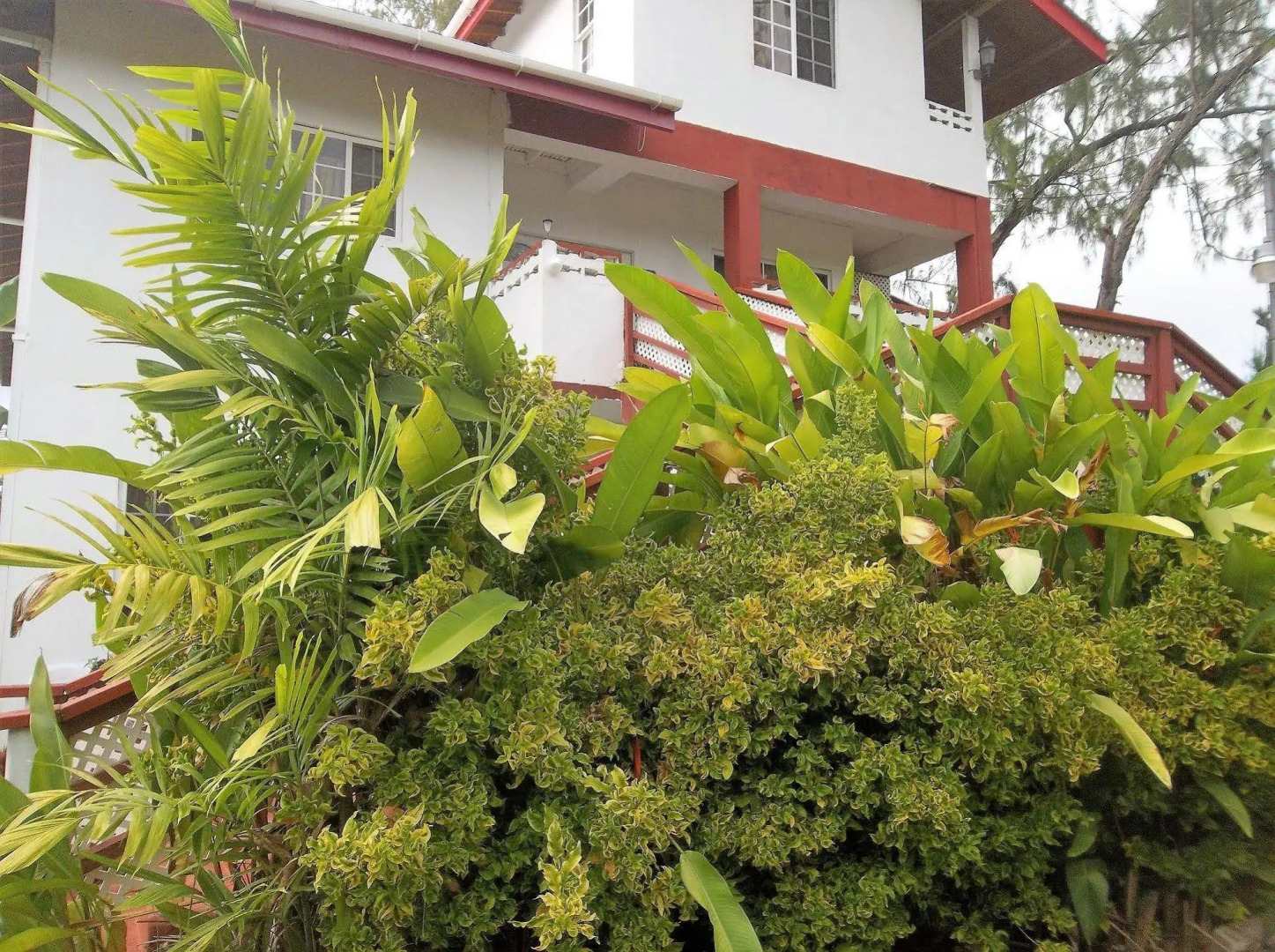 Tobago Tranquil Guesthouse