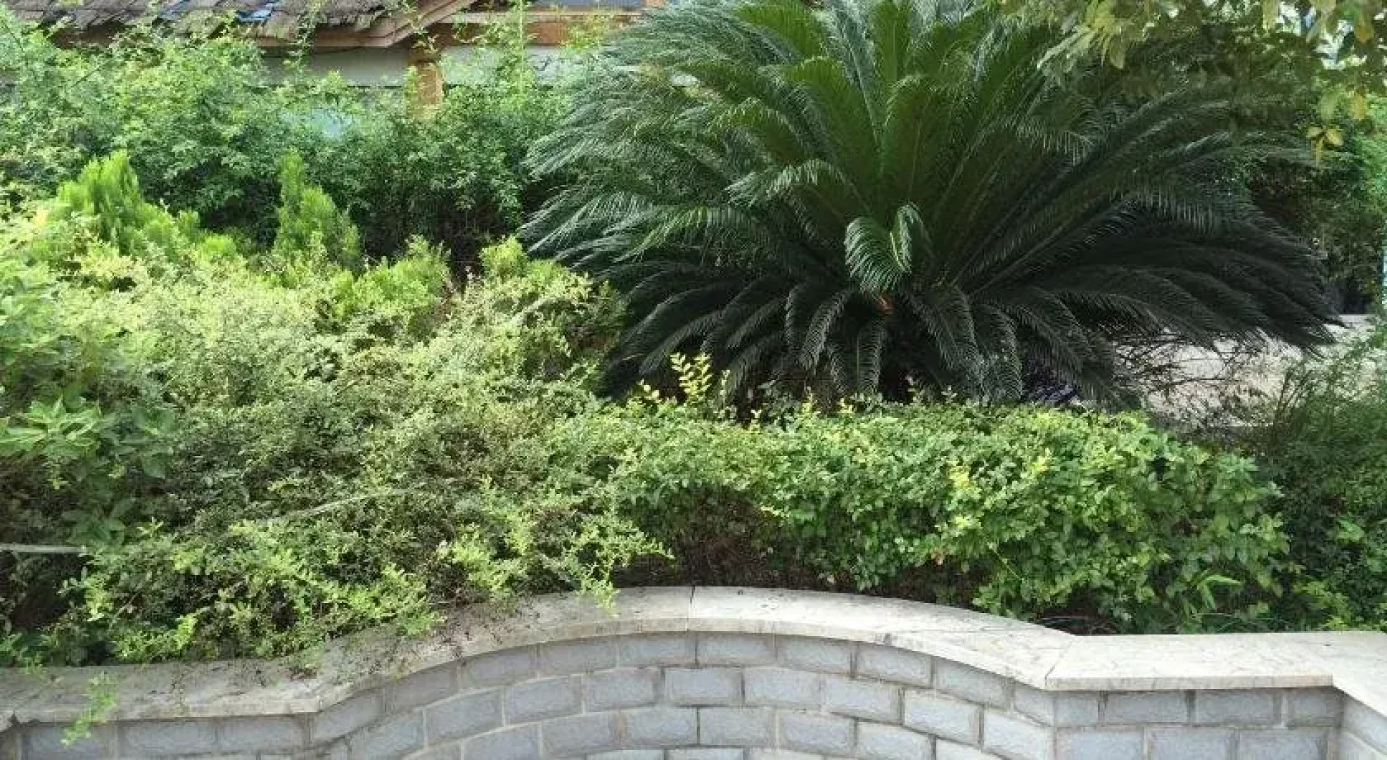 Zhangjiajie Zhongtian International Hostel