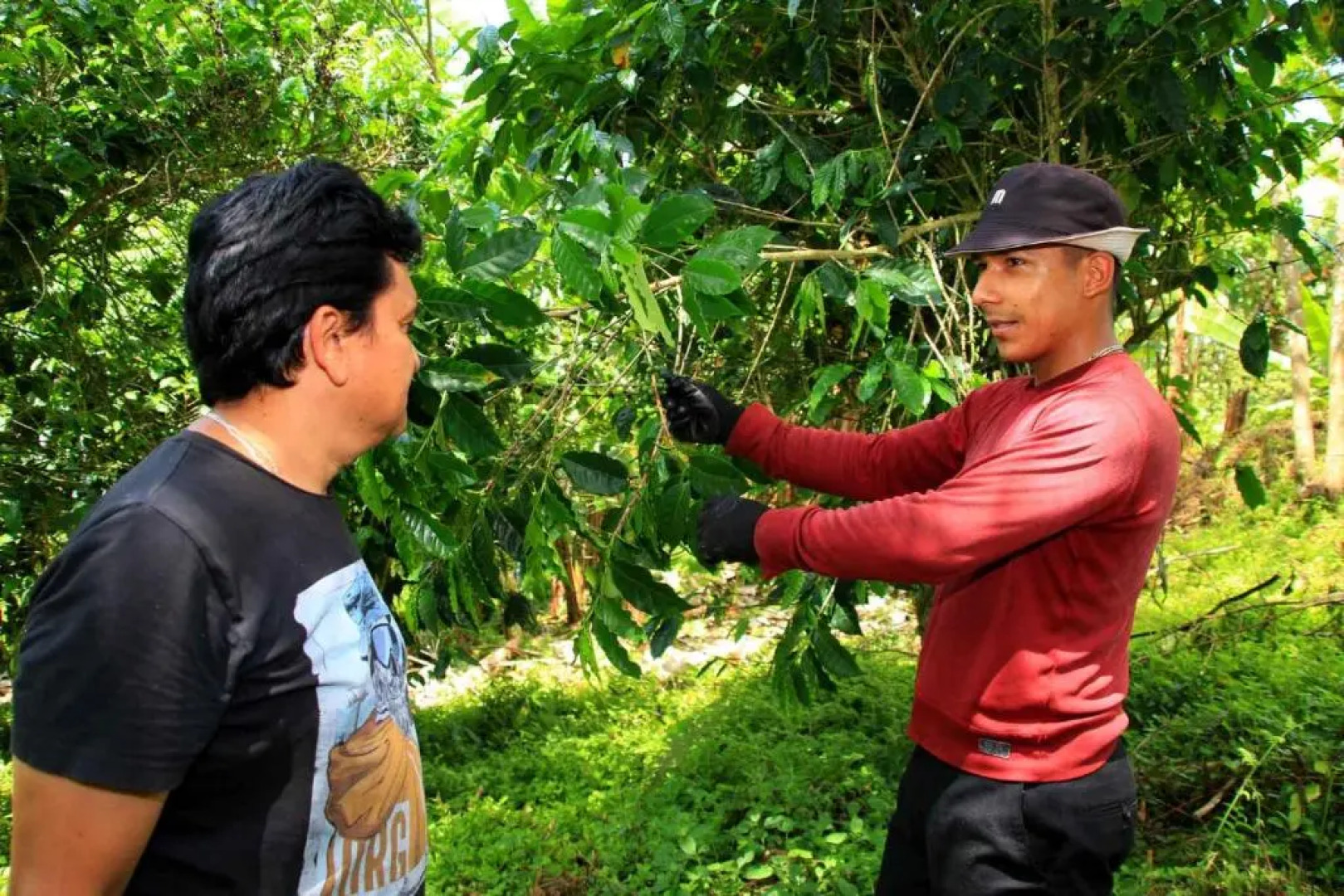 Natura Gardens Galápagos Hotel