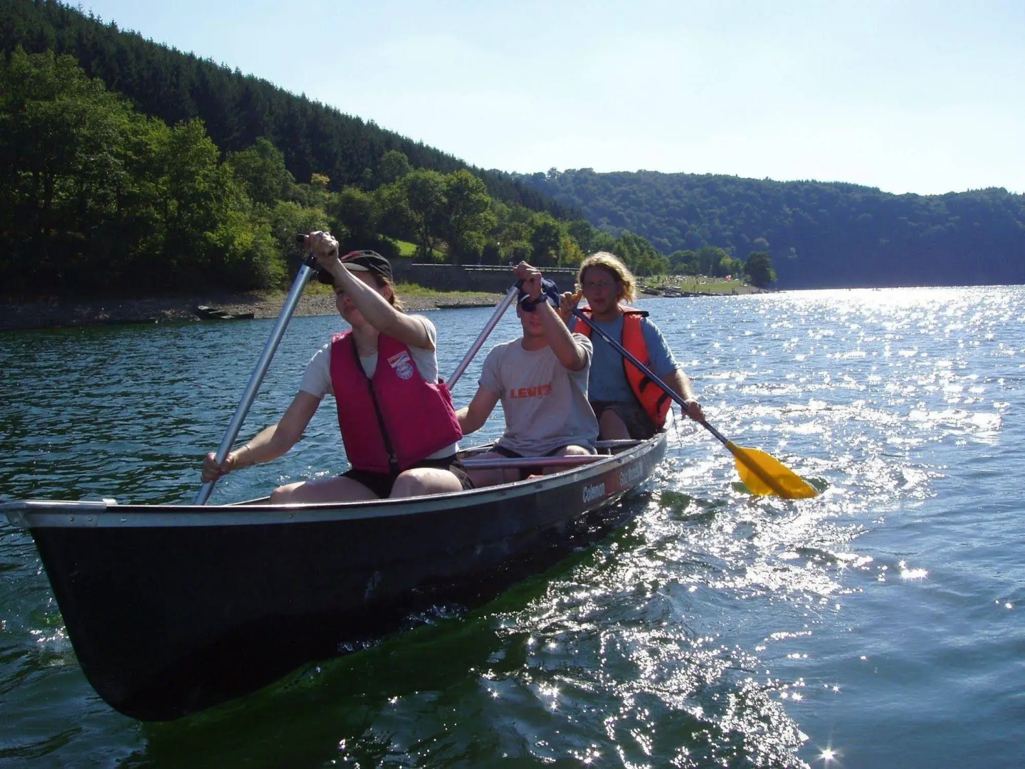 Gourmet & Relax Hotel De La Sure