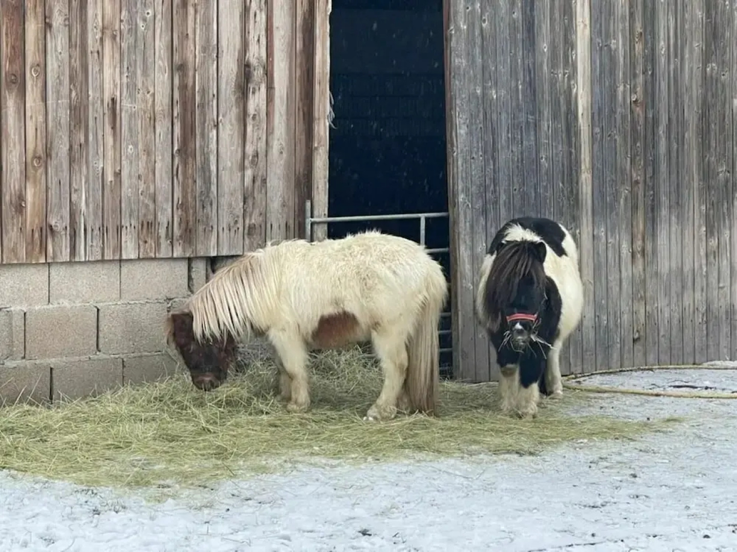 Charming Apartment in Himmelkron