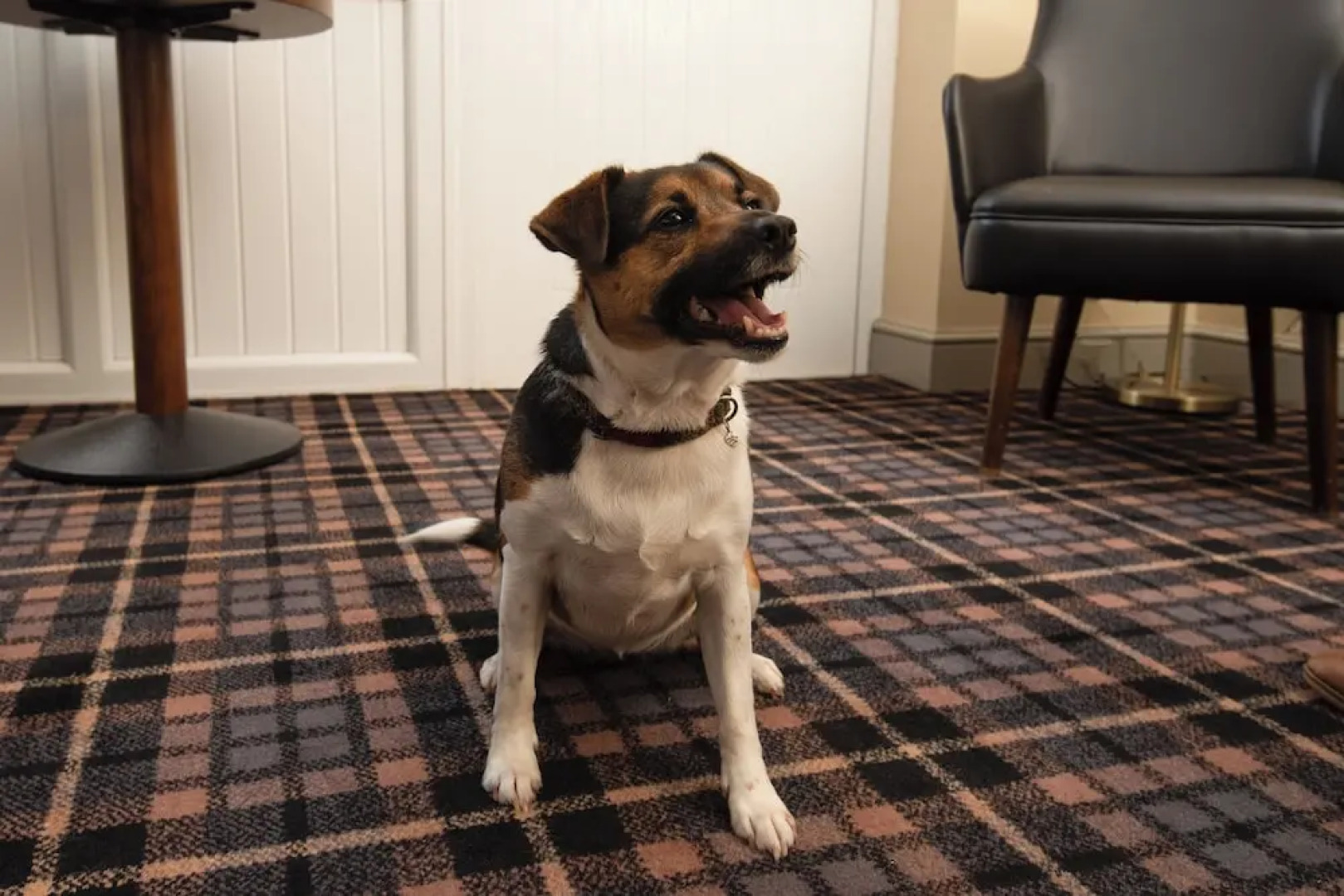 The Amble Inn - The Inn Collection Group