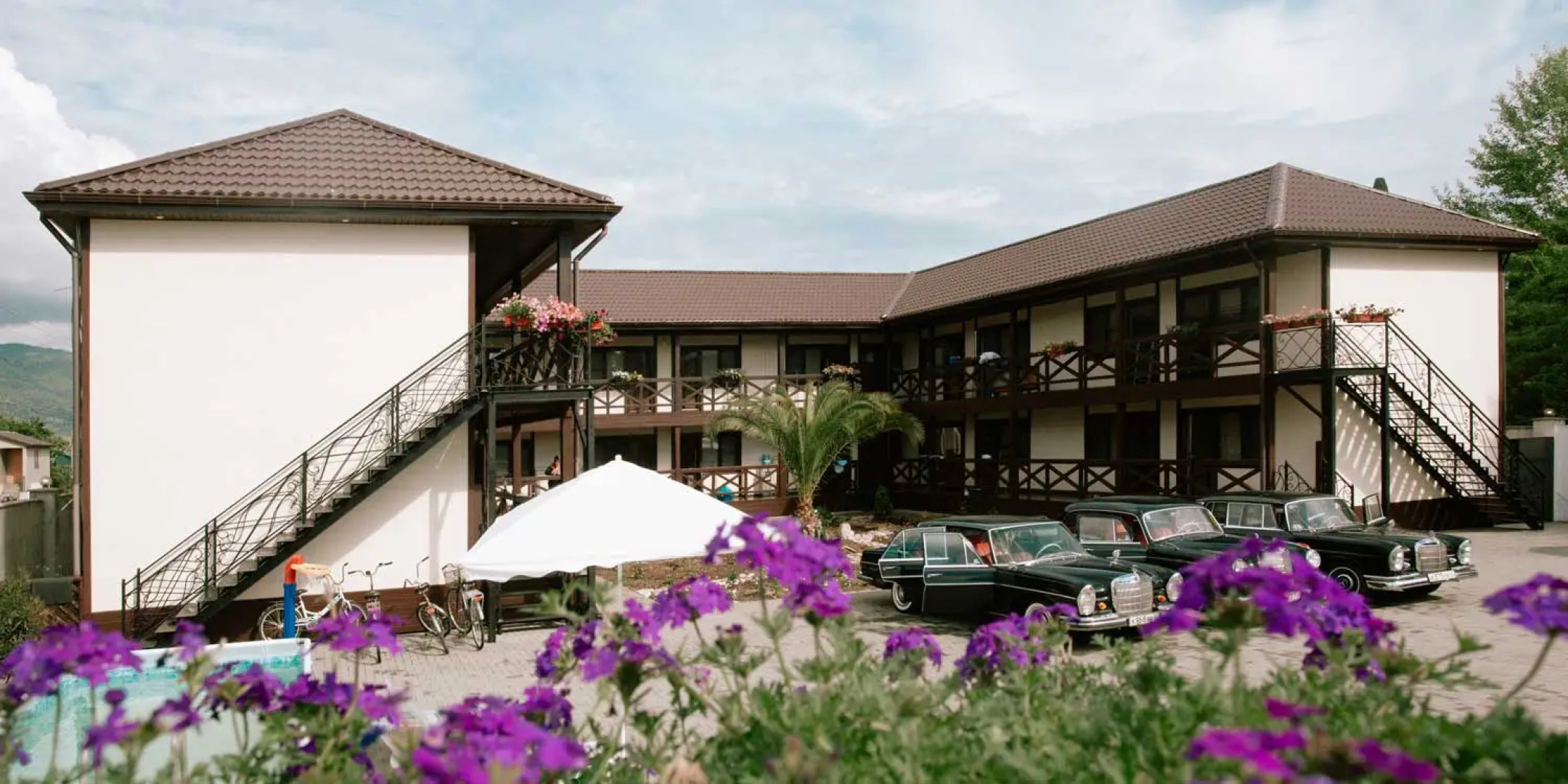 Три павлина