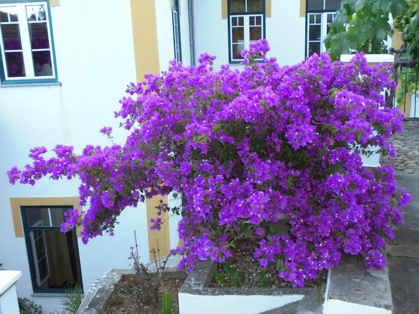 Casa Covao da Abitureira