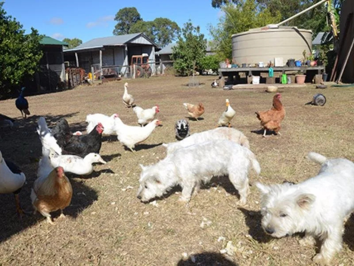 Lee Farm Stay Cottages