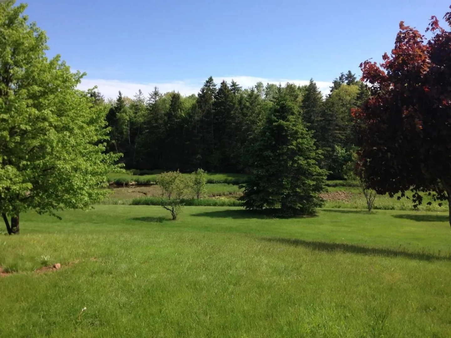 Wrights Creek Tourist Home