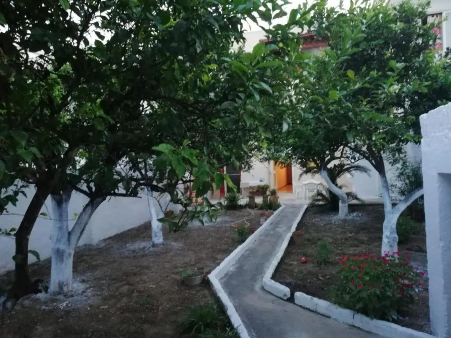 Appartamento Nel Cuore Del Salento