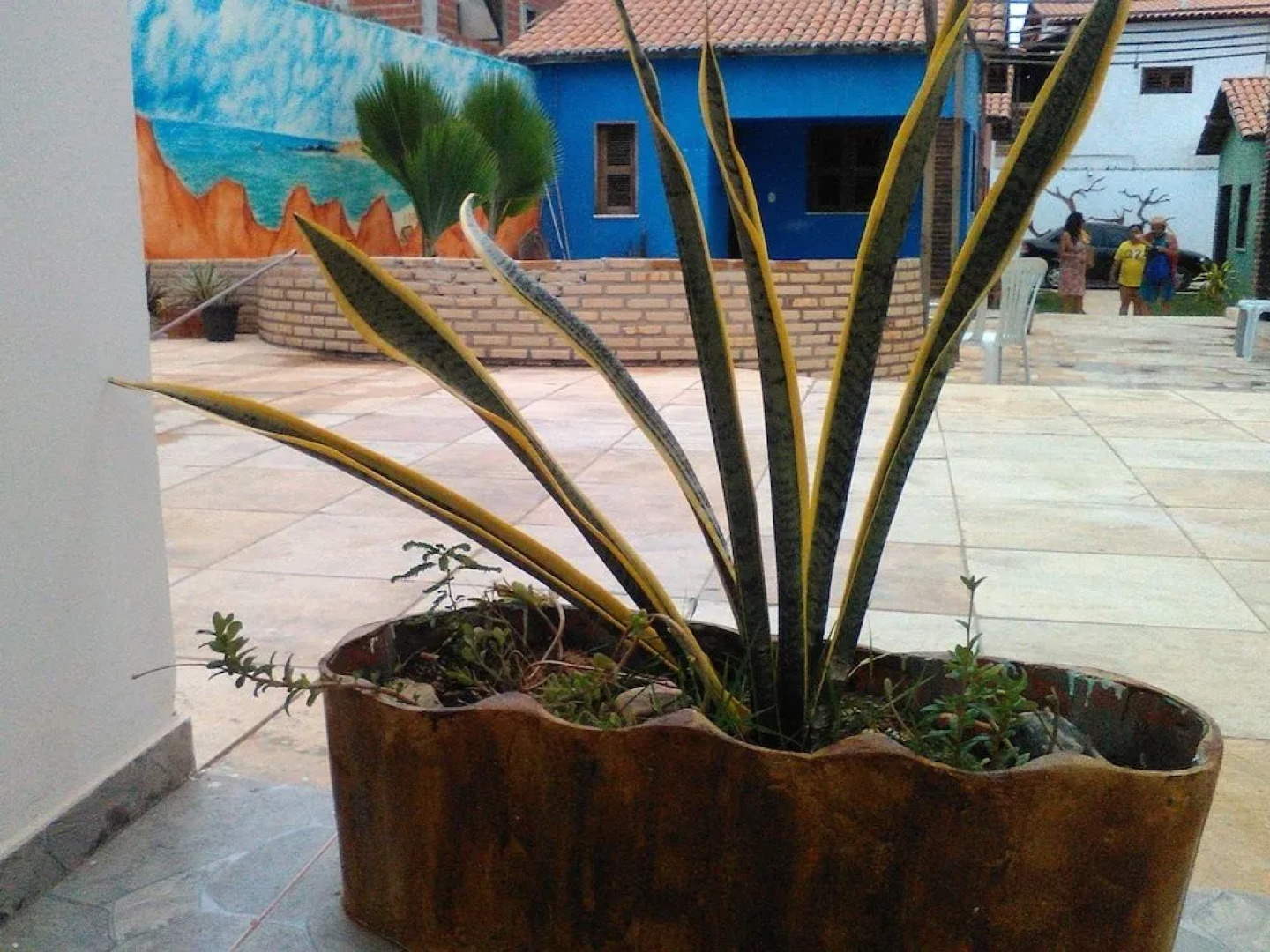 Chales Subindo as Dunas