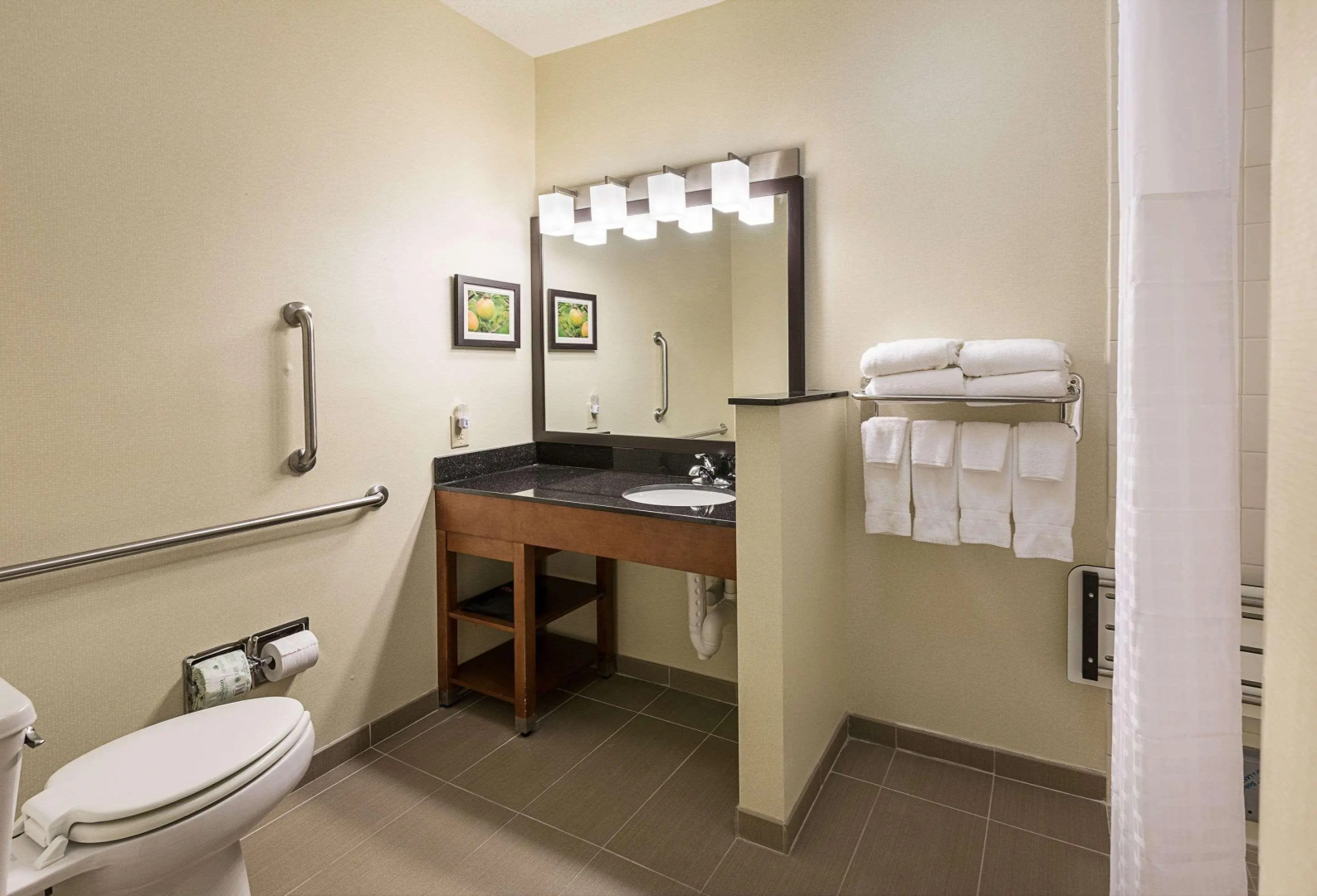 Comfort Suites Saginaw