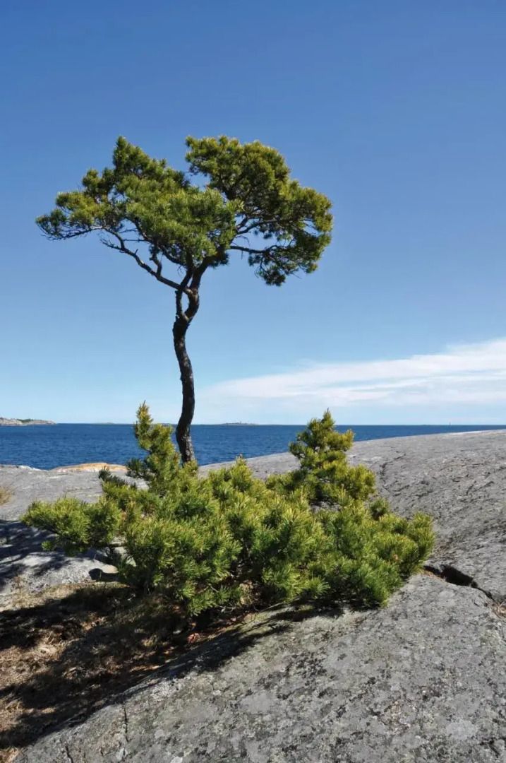 Sands Hotell & Bistro