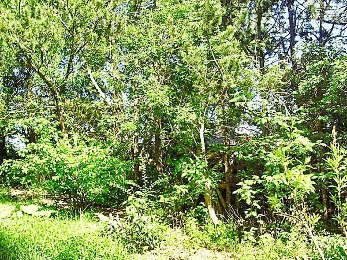 Scenic Holiday Home in Hovedstaden With Terrace