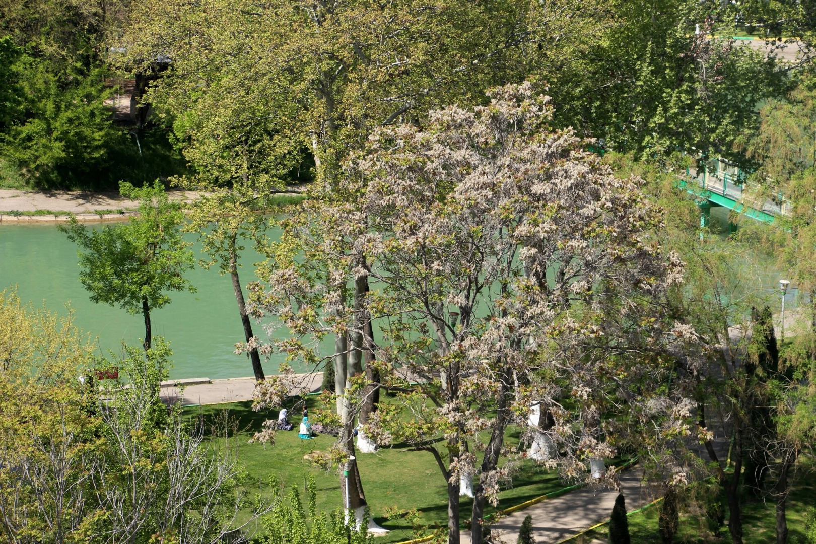 Отель Rohat Chilonzor