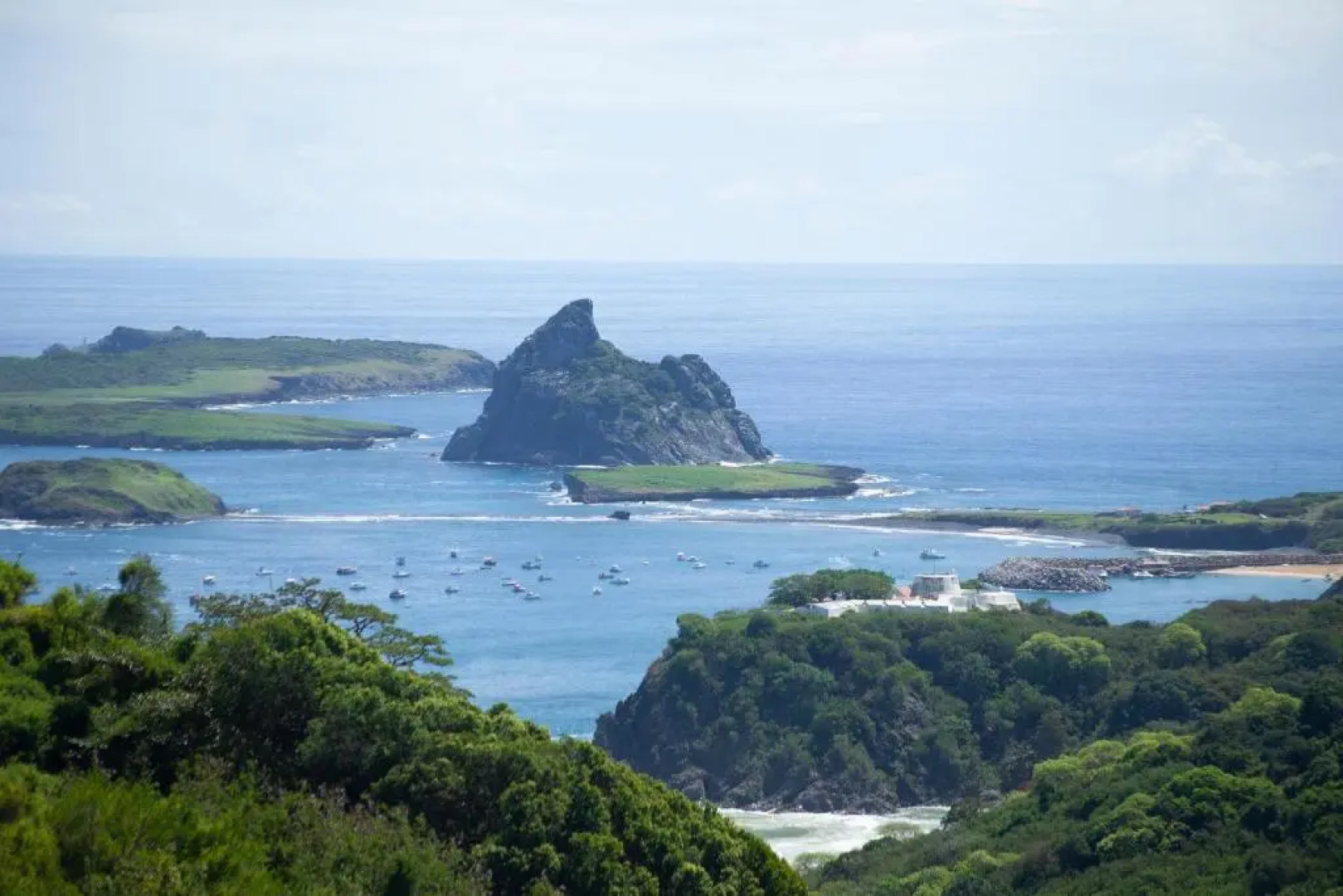 Flamboyant Residence