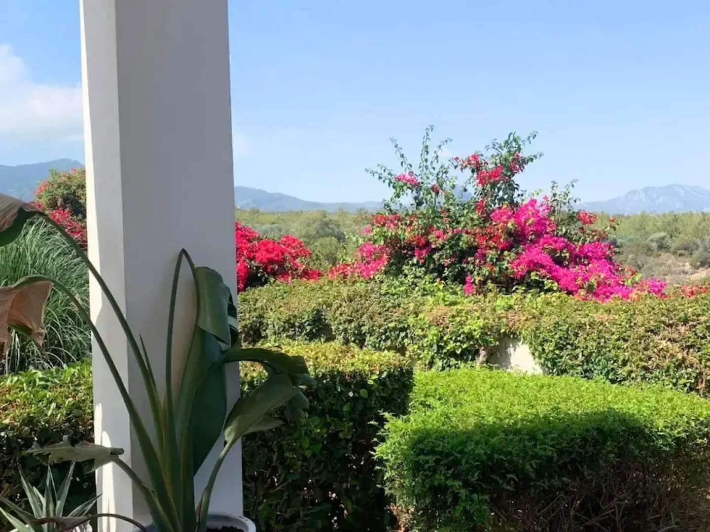 Highly Comfortable Family-friendly Apartment in Lovely Area