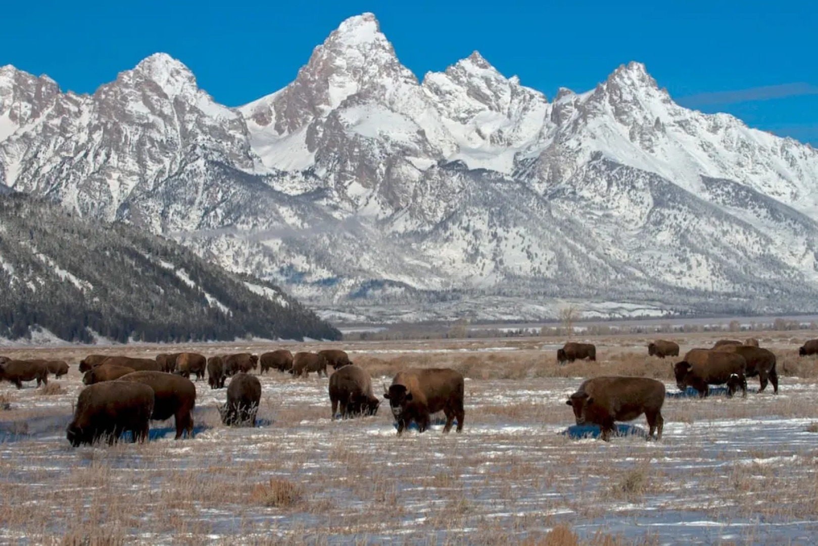 Timber Ridge by JHRL