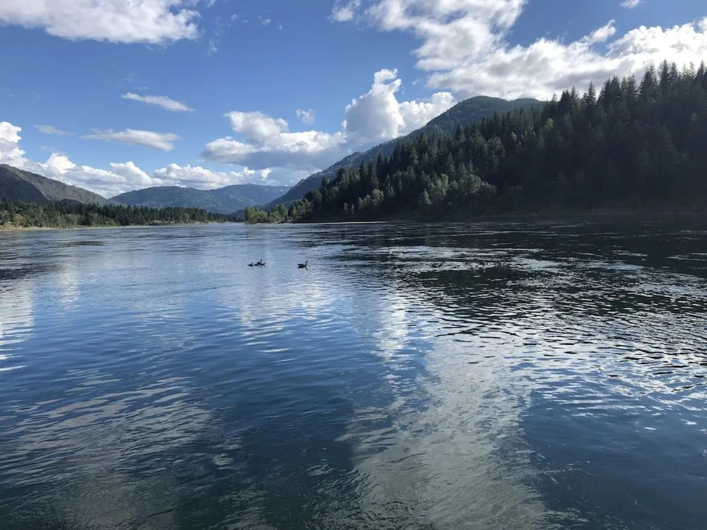 Wolfs Den On The River