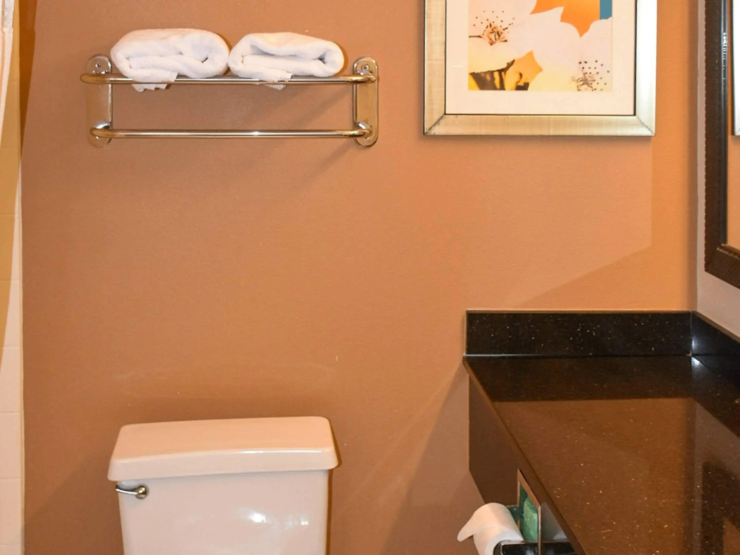 Comfort Inn & Suites Texas City I-45