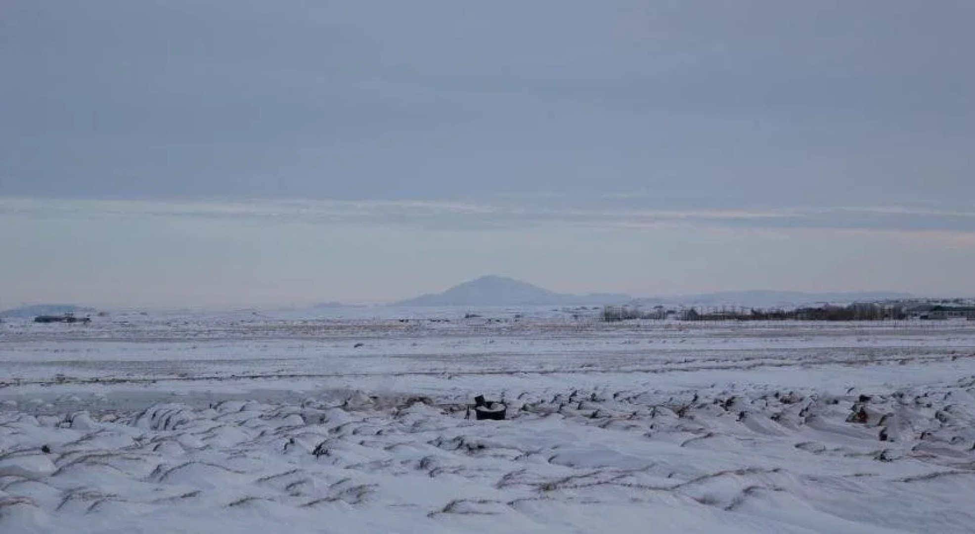 Mýri - Stay for a tree