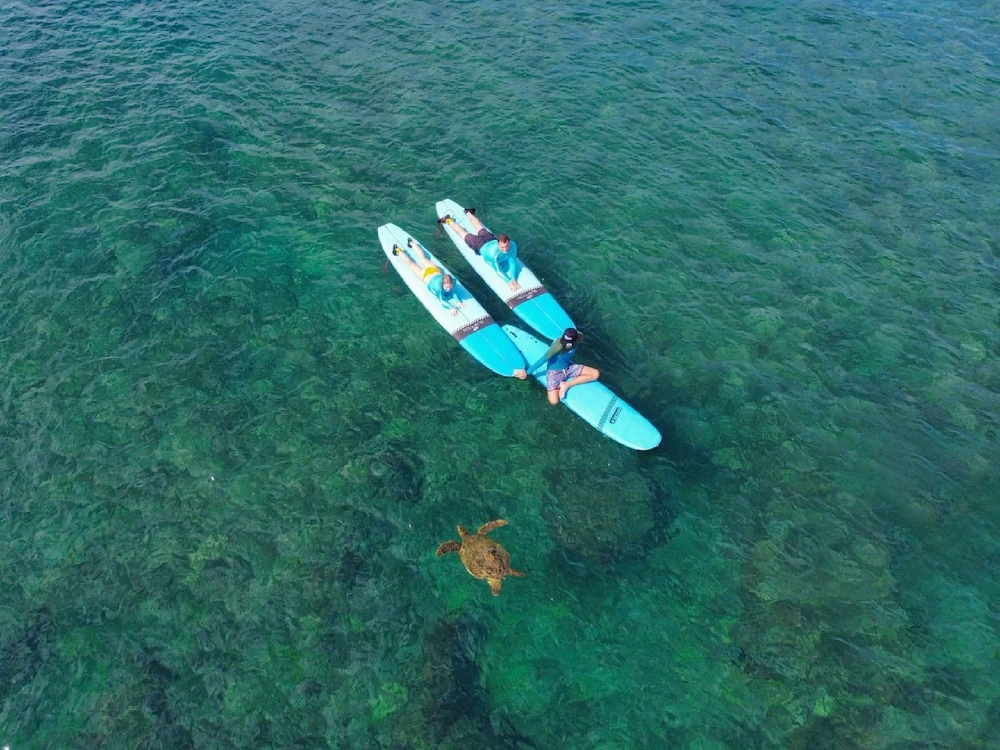 Ocean Bungalows at Turtle Bay Resort