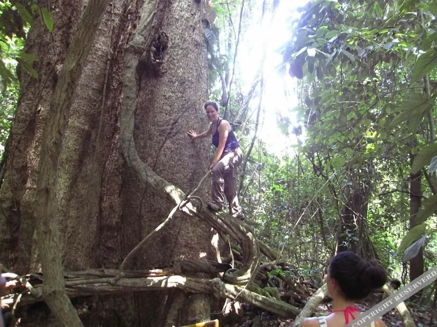 Samasati Yoga & Wellness Retreat