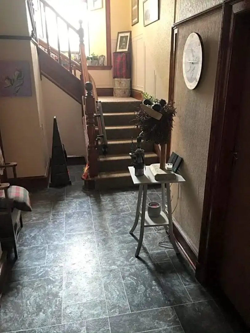 Scotty dog room 2