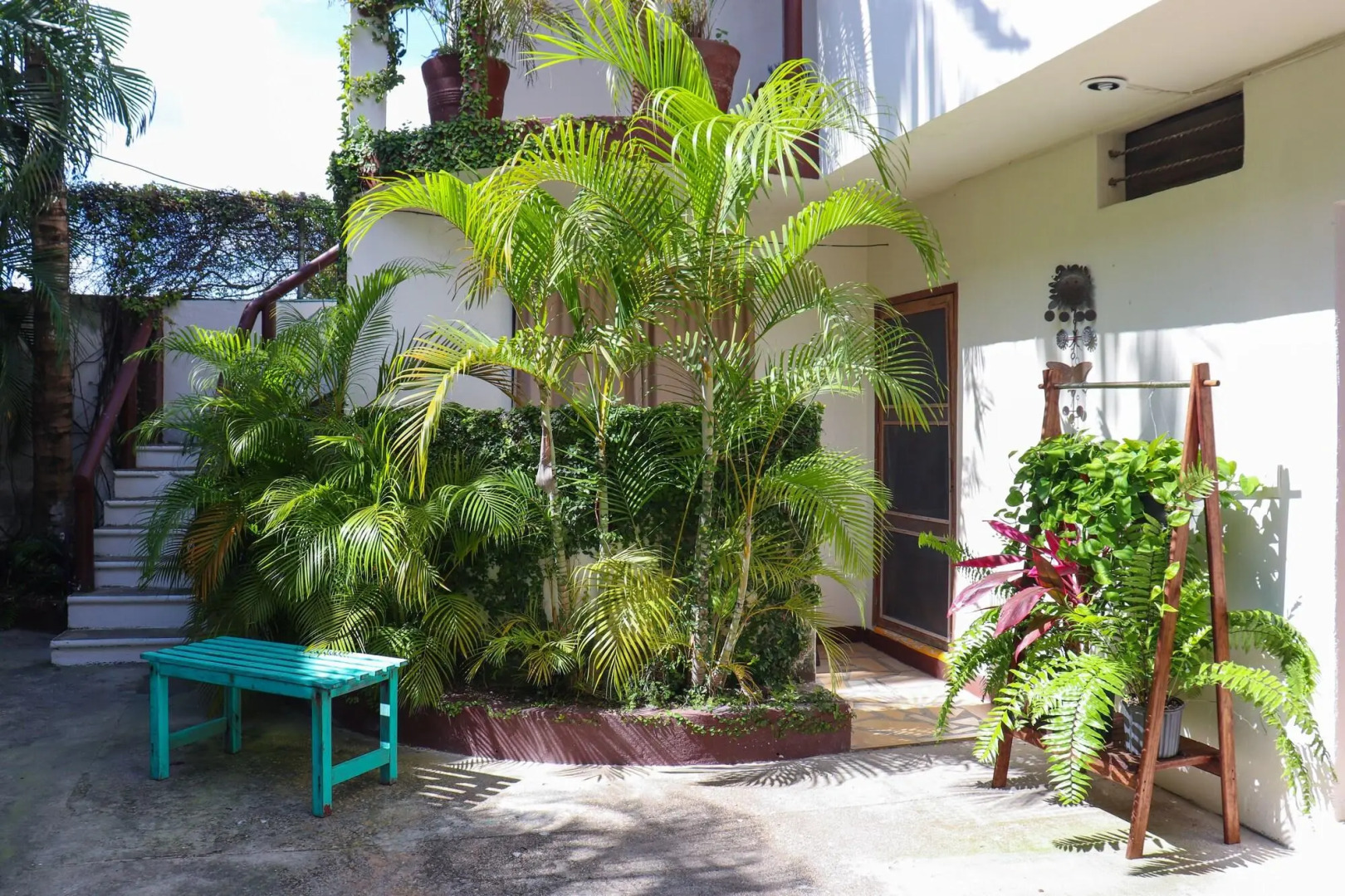 Hostal & Suites Pata de Perro