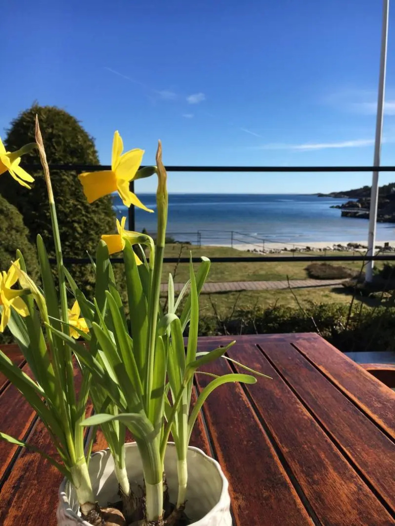 Strand Hotel Fevik - by Classic Norway Hotels