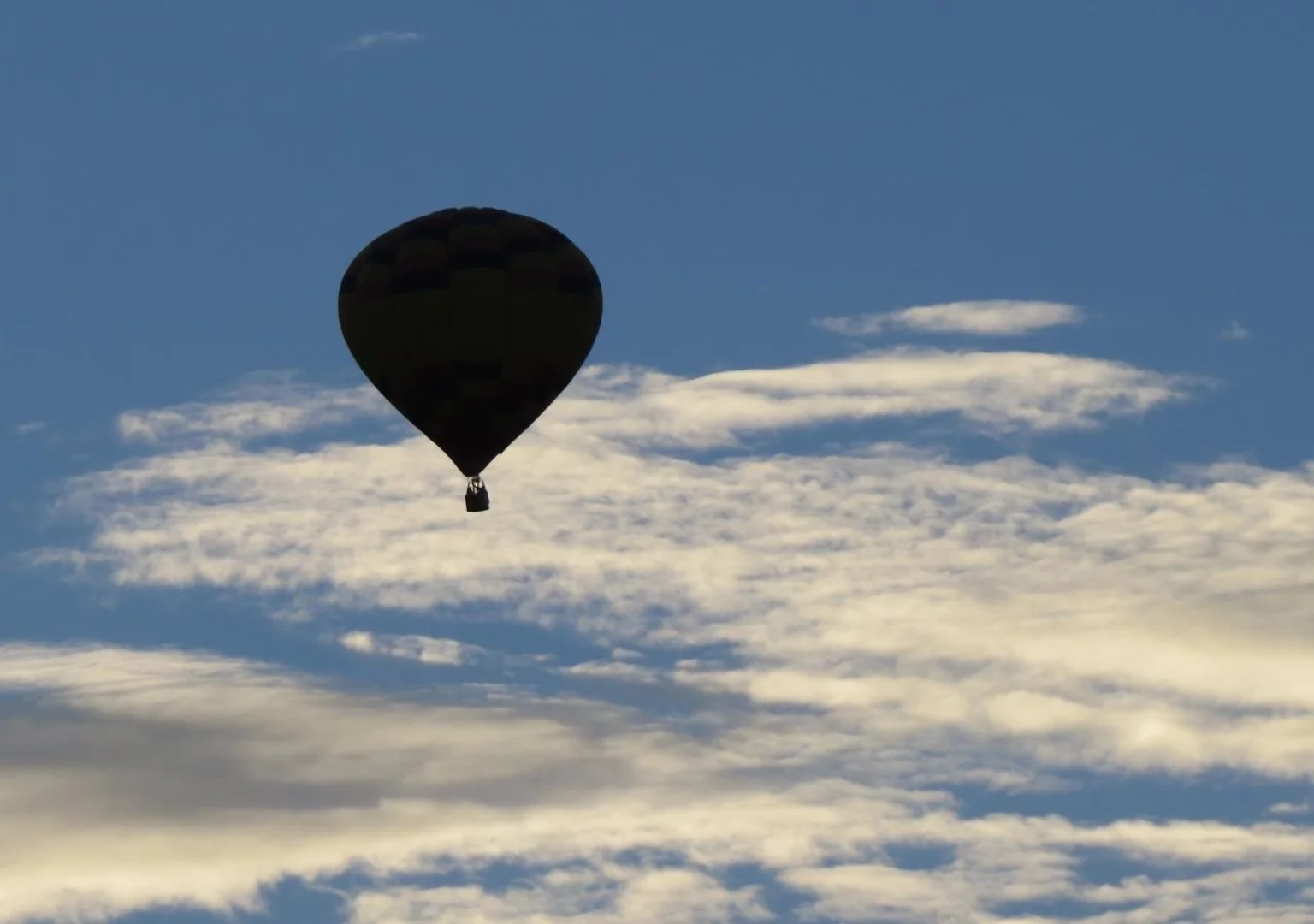 Frog and Pheasant Guesthouse