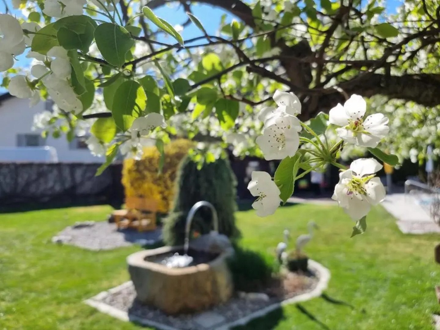 Pension Sattlerenglhof