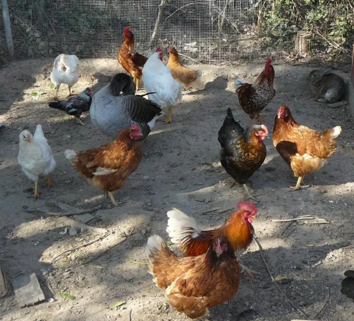 Casa Rural Torre De Campos