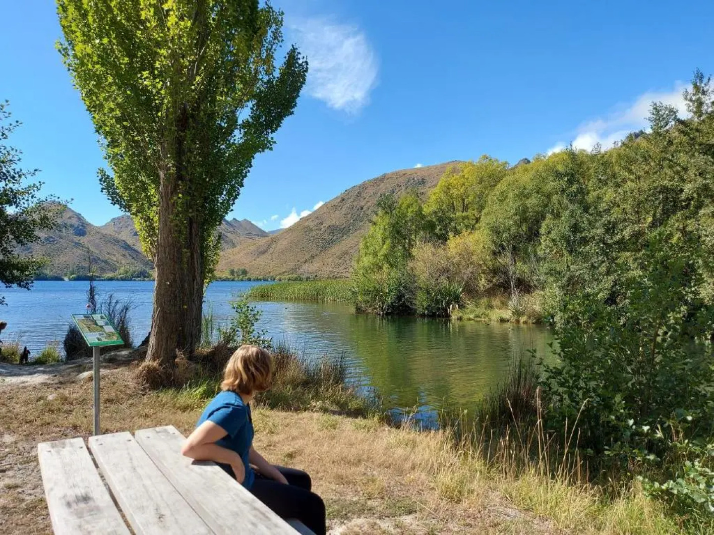 LAKE ESCAPE - Brand new warm and quiet two bedroom Apartment