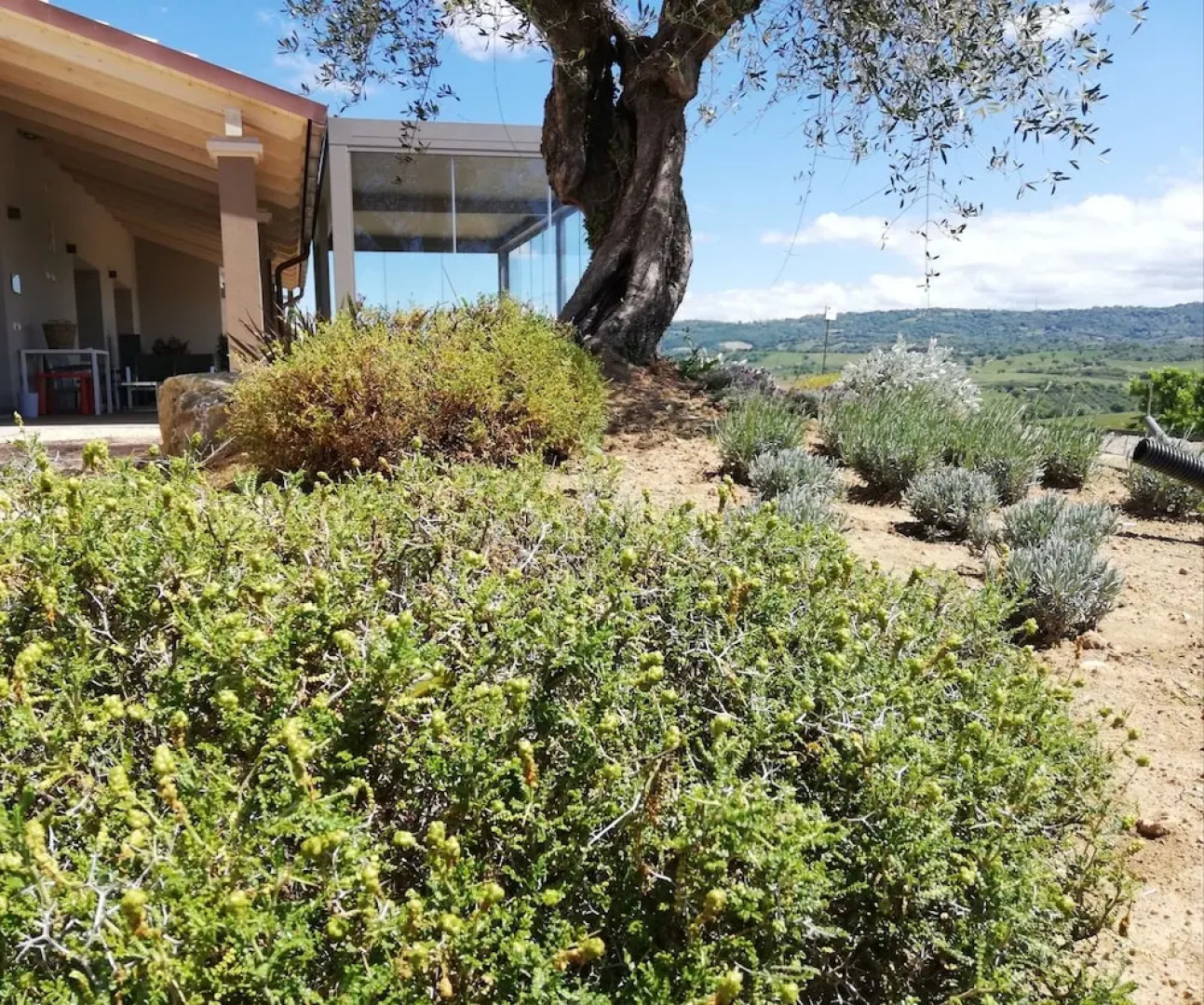 Agriturismo Le Piccole Macie