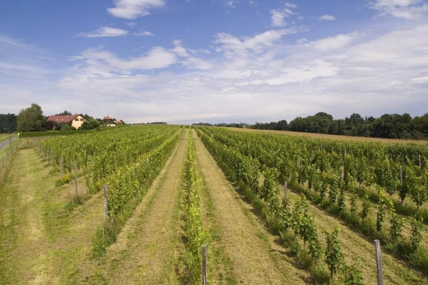 Frühstückspension Kleinschuster