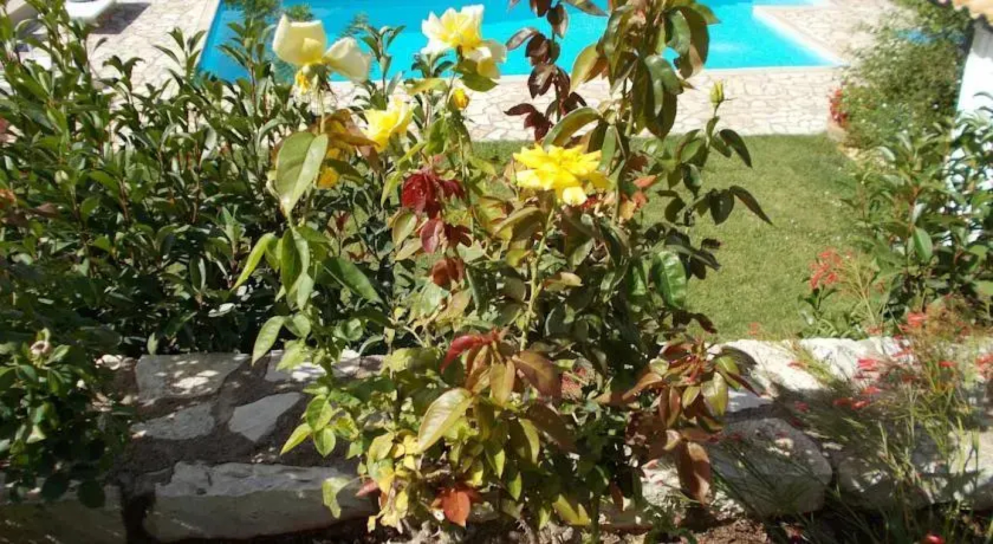 Skaloma Villas Art 2