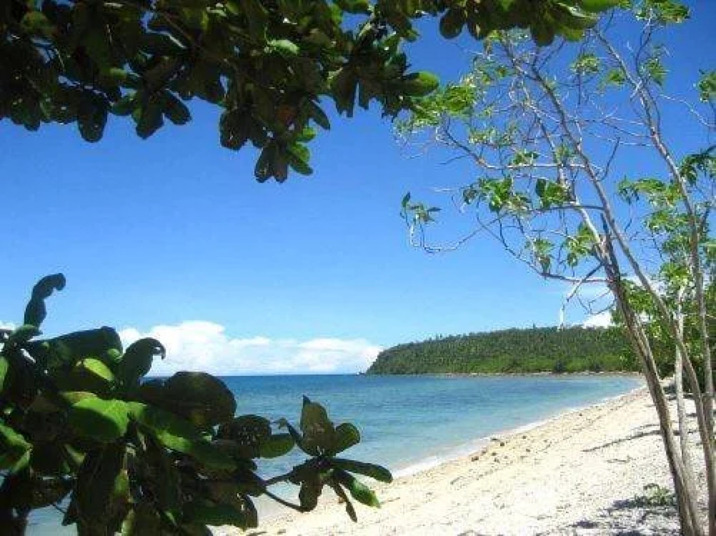 Visayas Breeze Resort