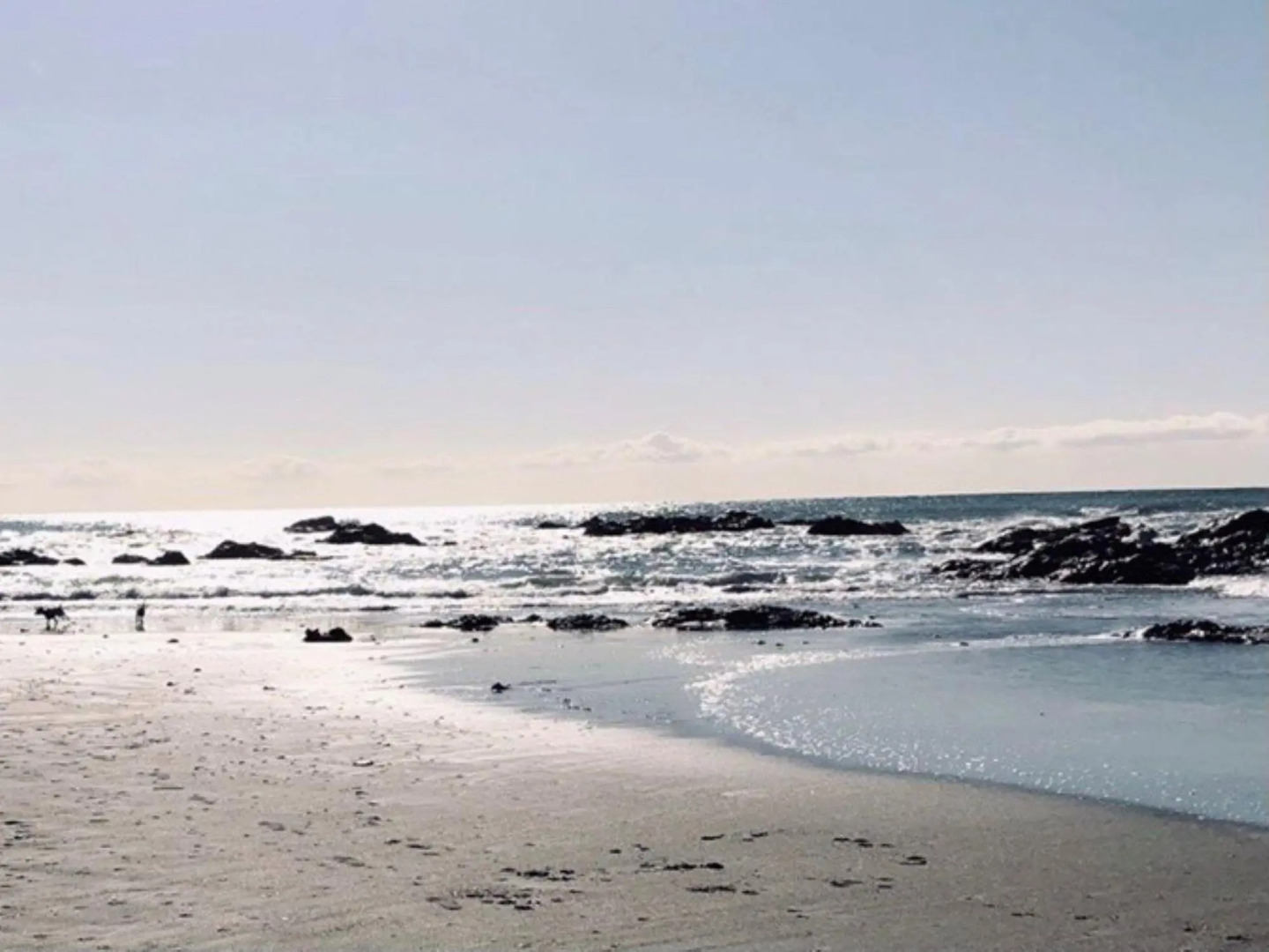 Seaside Garden DAY OFF