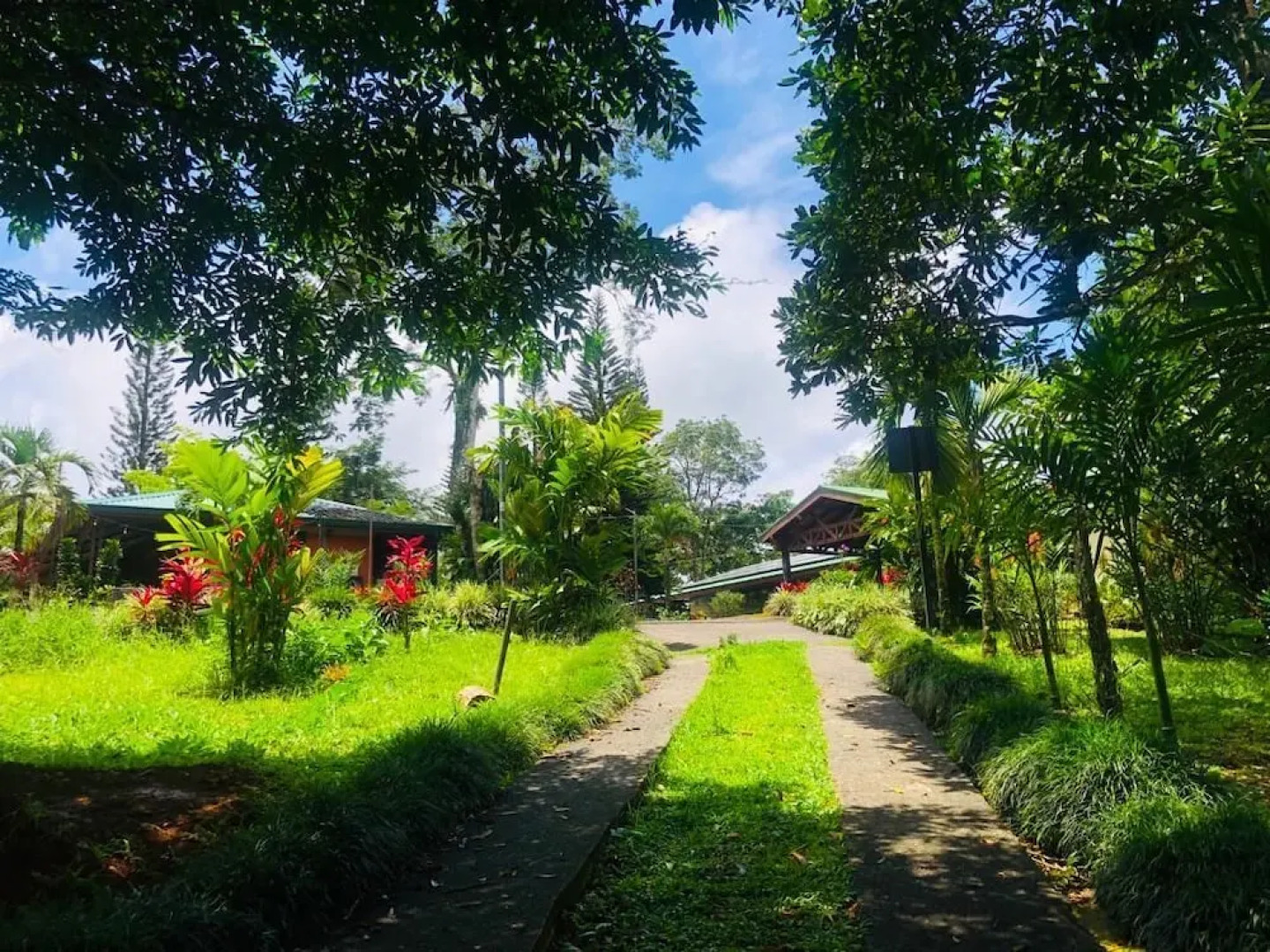 Avita Lodge Hotel de Montaña