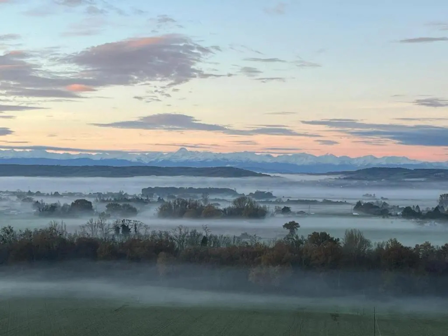 Domaine de Quintalone