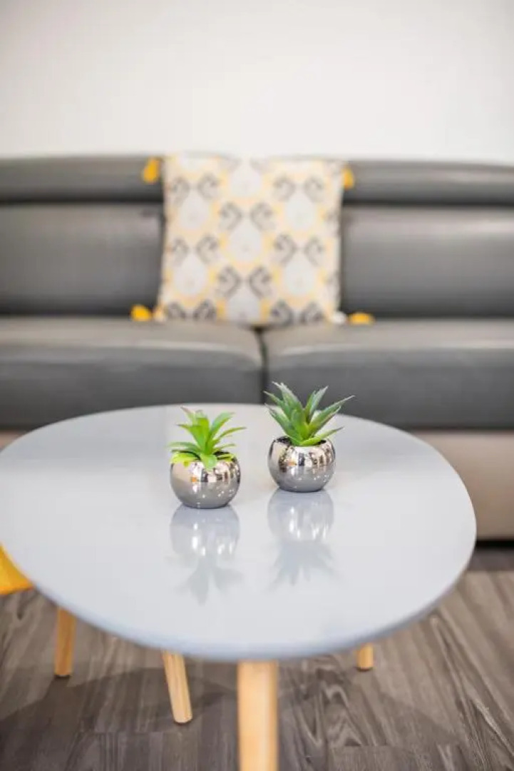 Appartement ensoleillé Lyon