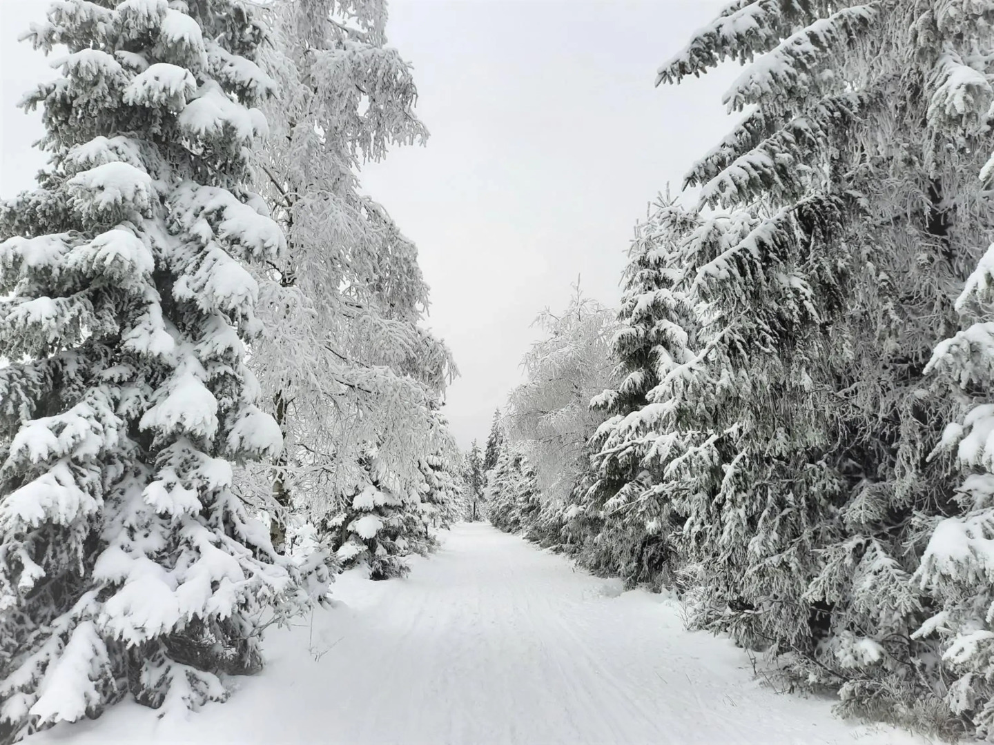 Velký apartmán Cihlarka pro až 17 osob