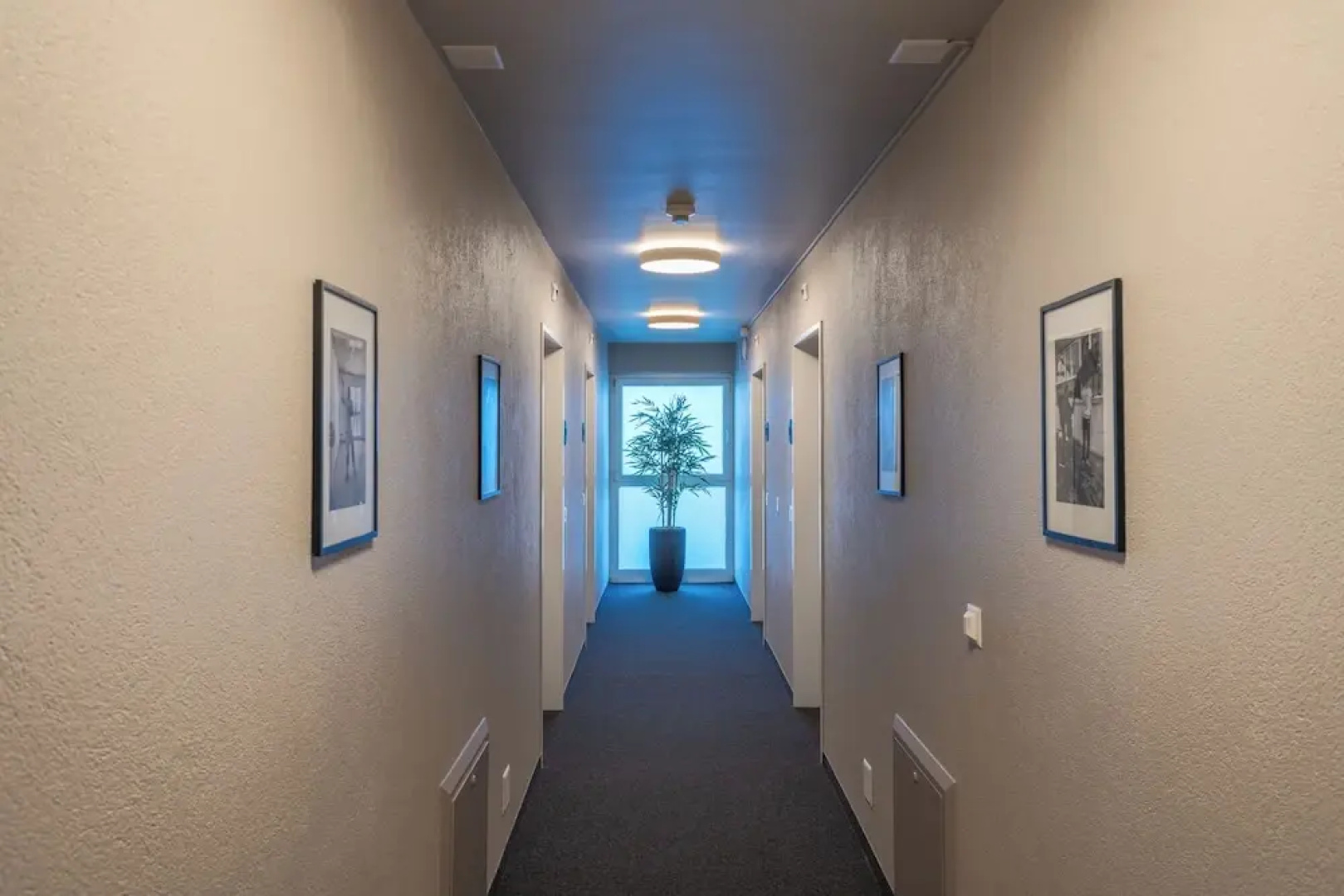 Studio 54 B&B