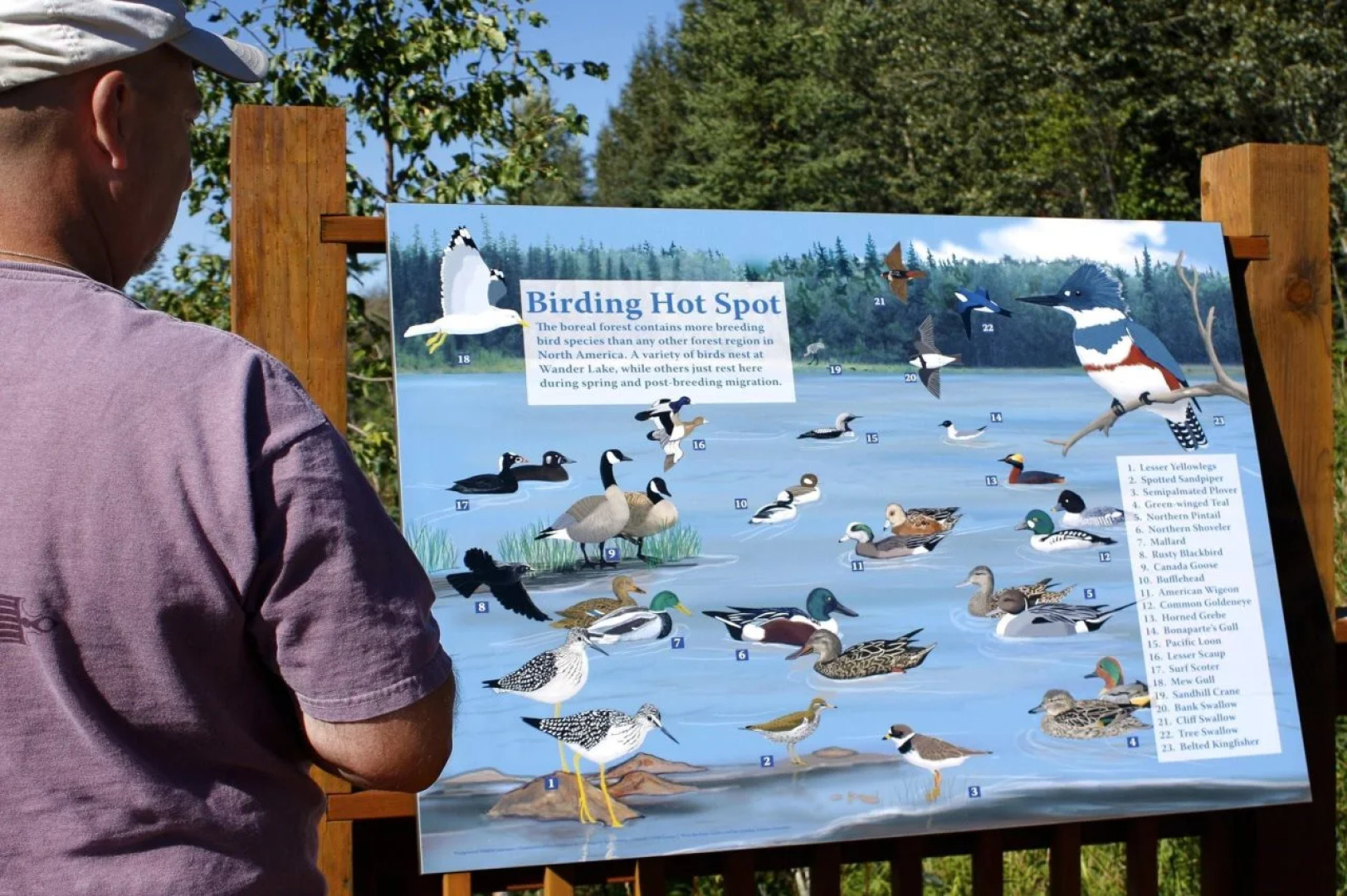 Sophie Station Suites